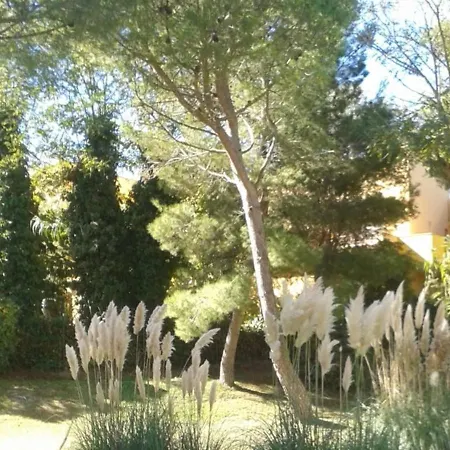 T3 Pour 6 Pers, Terrasse, Proche - Fr-1-607-1 * Agde