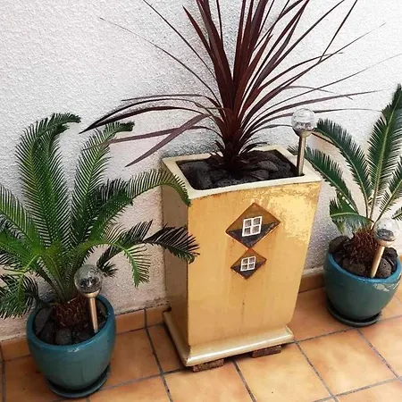 T3 Pour 6 Pers, Terrasse, Proche - Fr-1-607-1 Apartment