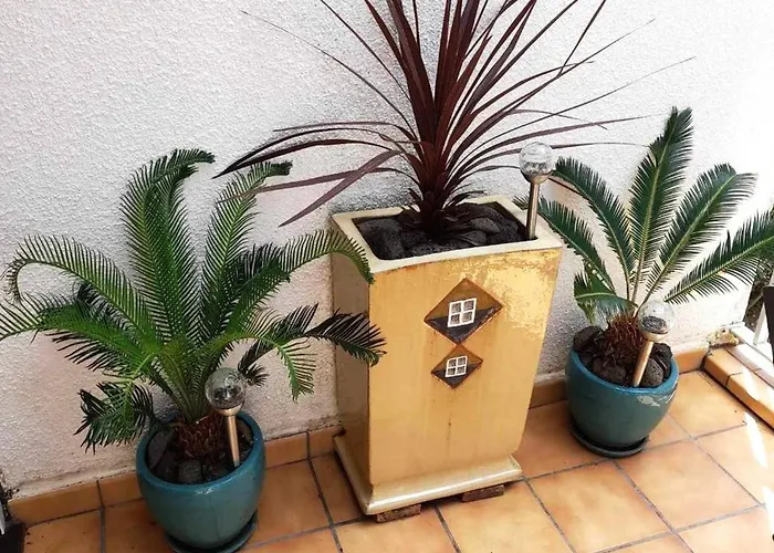 T3 Pour 6 Pers, Terrasse, Proche - Fr-1-607-1 아파트